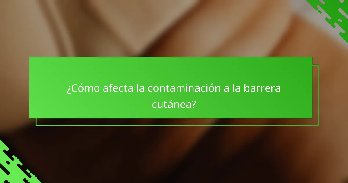 ¿Cómo afecta la contaminación a la barrera cutánea?