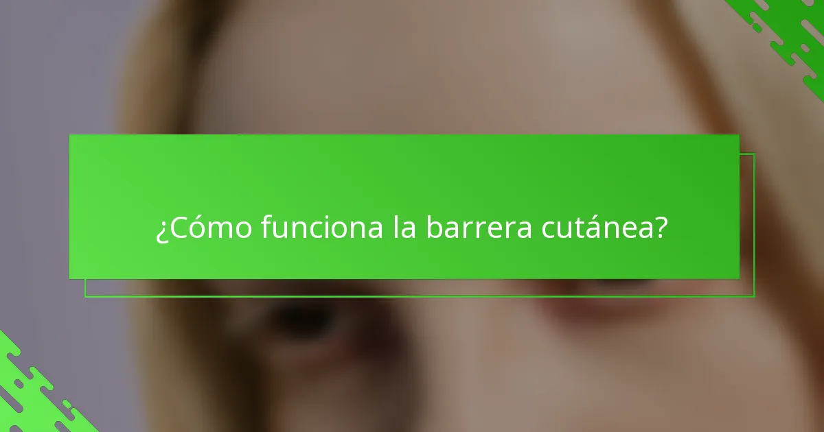 ¿Cómo funciona la barrera cutánea?