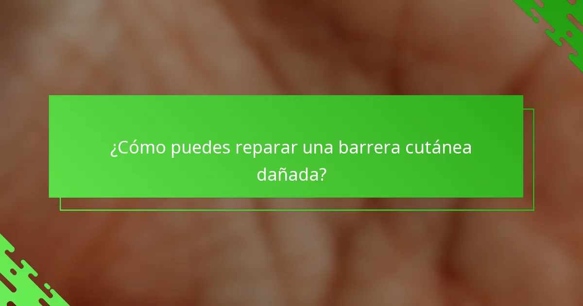 ¿Cómo puedes reparar una barrera cutánea dañada?