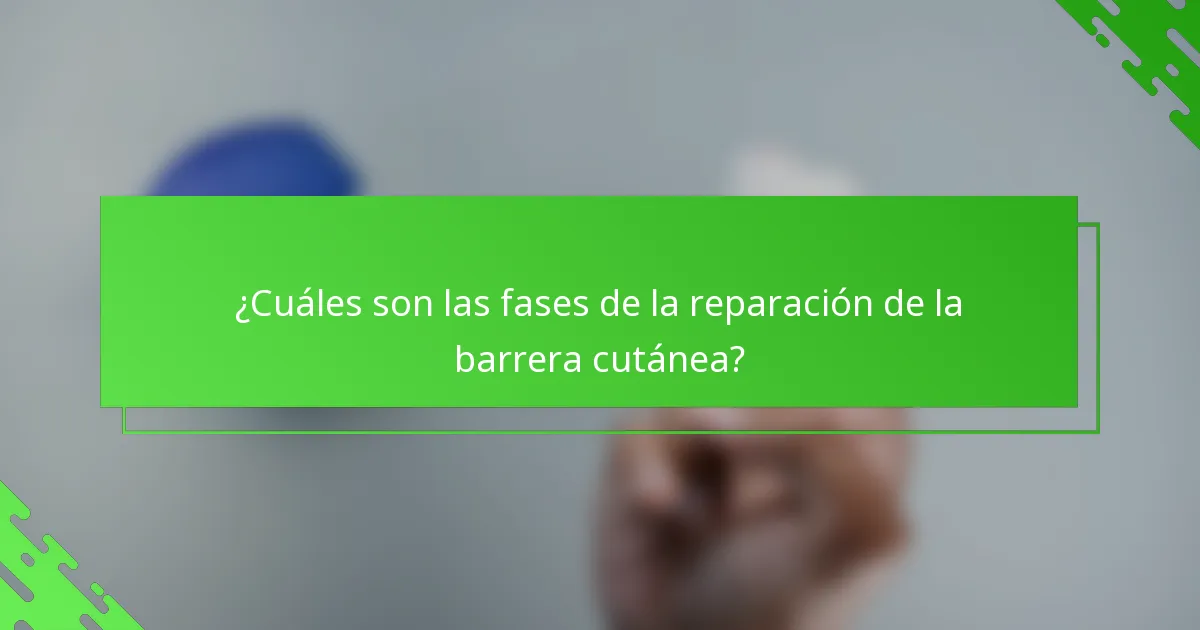 ¿Cuáles son las fases de la reparación de la barrera cutánea?